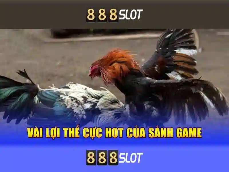  trải nghiệm chơi game - 888slot