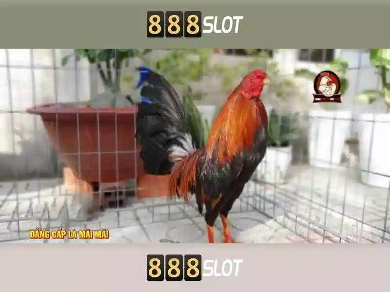 💎fabet home💎 - fabet dang nhap - fabet ink