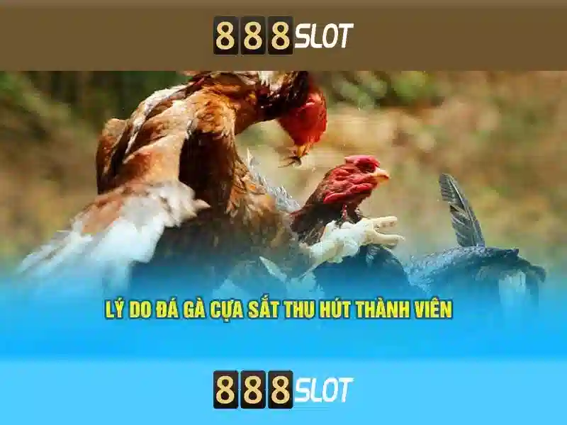 💎có nên bỏ giấy bạc vào lò vi sóng💎