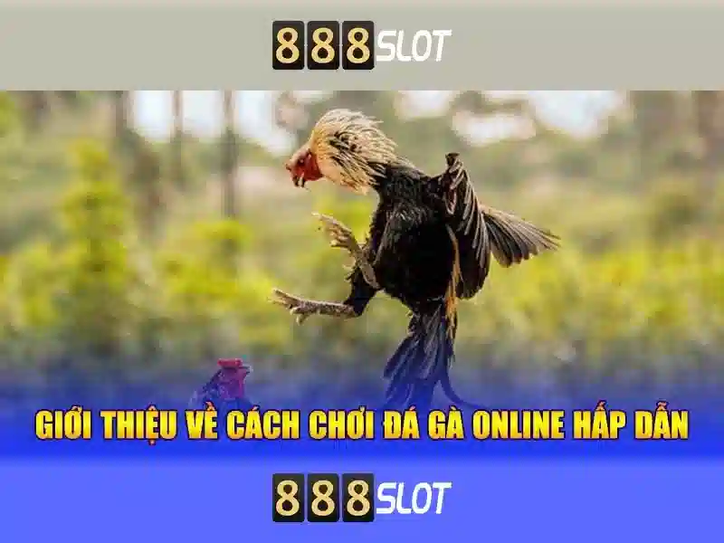 888SLOT – Trải Nghiệm Slot Vip Độc Quyền 2026 - 888slot