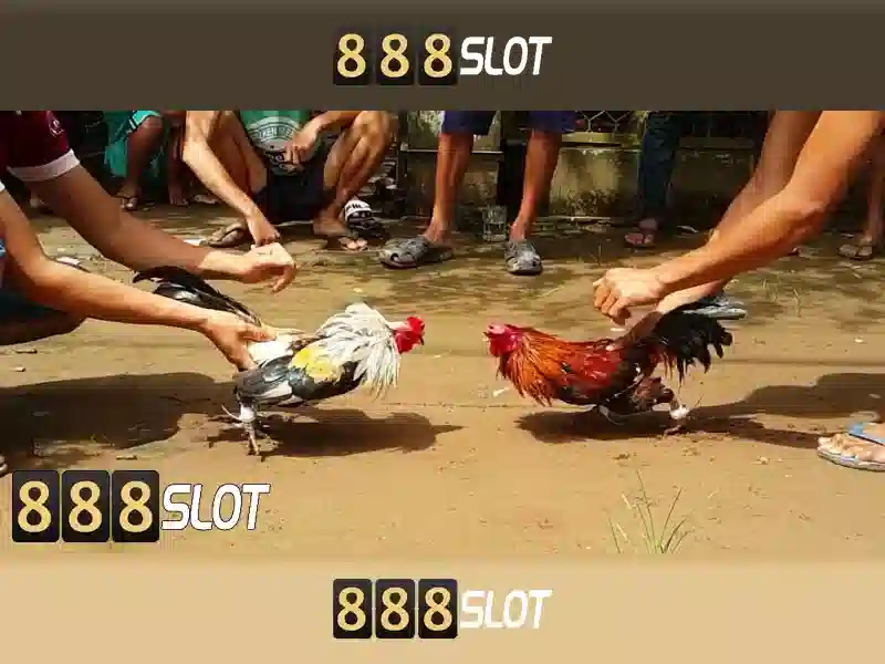 💎sin88 sin88s com💎 - sin88 red - sin88 space