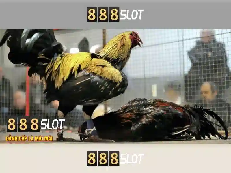 💎hb88 hb88okvip💎 - hb88 app - nổ hũ hb88 casino