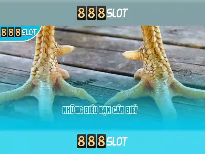 💎hb88 slot hack apk💎