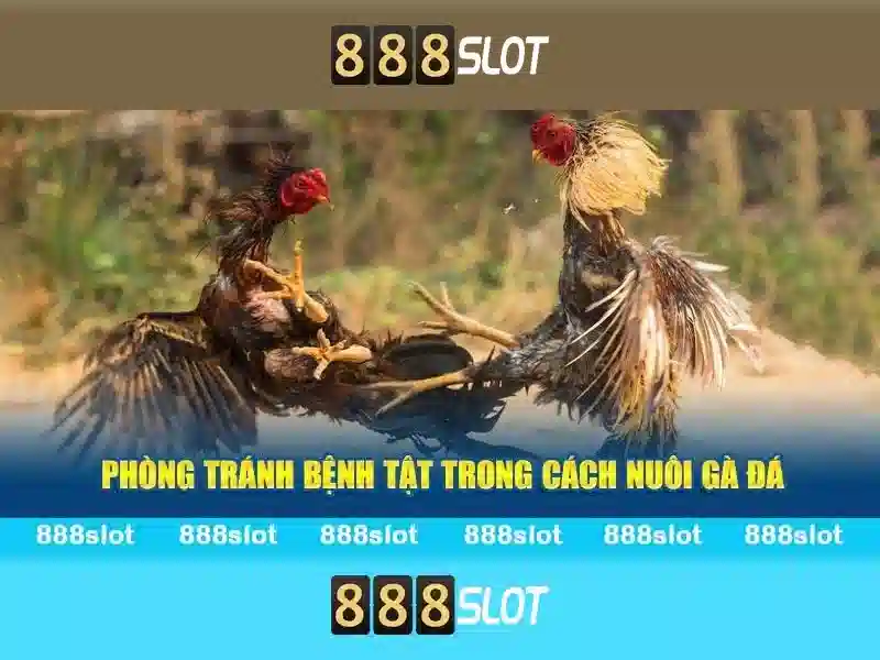 💎xn88 slot profile💎