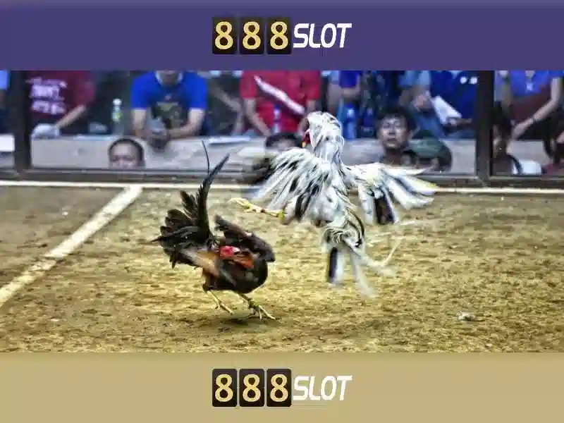 💎hb88 super ace hack💎