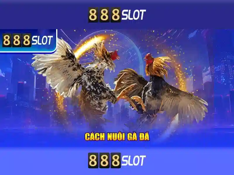 💎soi keo nha cai com💎