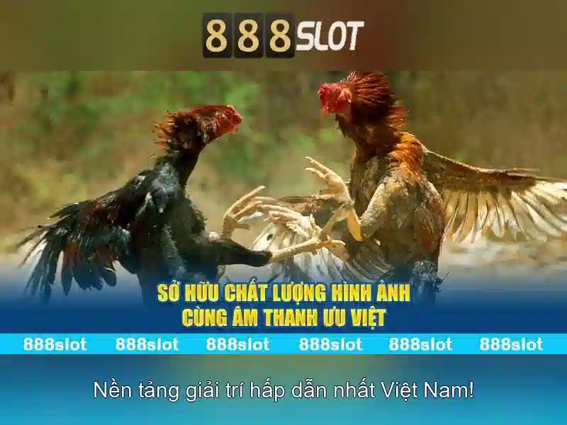 💎link dự phòng 188v💎 - 188v link - 188v bet