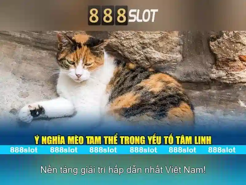 💎bật cài đặt nhà phát triển💎